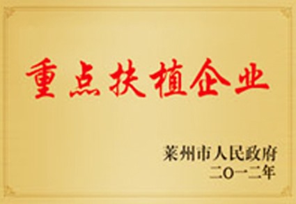 荣誉