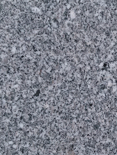 Laizhou grey