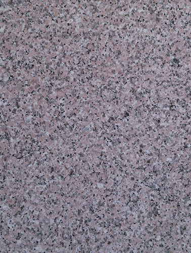 浅樱花